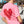 Aegean Heart Boxy Tee ELLOTTI